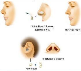 https://img.sjx9.com/?id=551