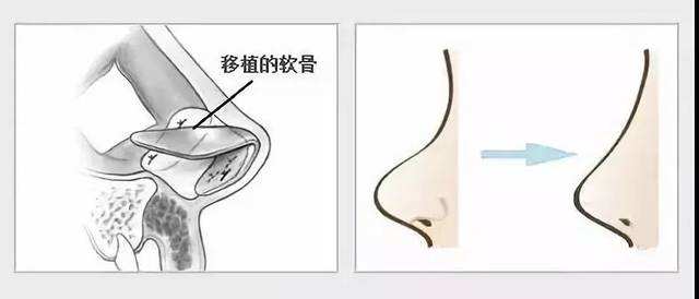 https://img.sjx9.com/?id=335